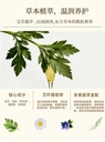 大隅艾草面部按摩精油保湿舒缓干燥全身体通经络刮痧精油30ml